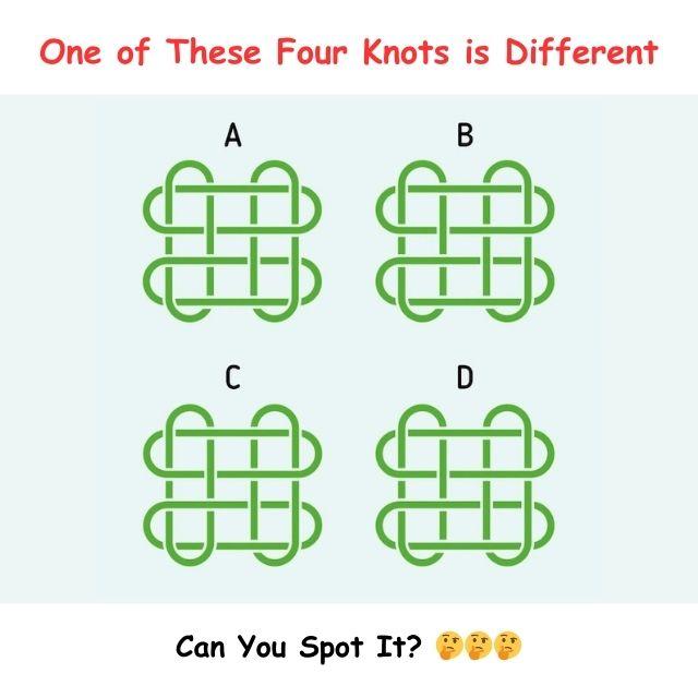 Can you identify which one of these knots is different from the others? Test your observation skills!